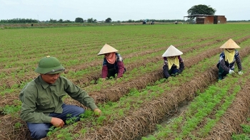 Bắc Ninh: GRDP 6 tháng đầu năm tăng 7,45% so với cùng kỳ