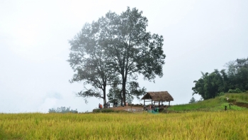 Lào Cai: 6 tháng đầu năm, doanh thu du lịch ước đạt 3.448 tỷ đồng