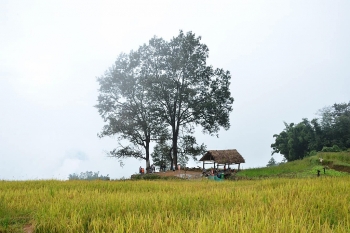Lào Cai: 6 tháng đầu năm, doanh thu du lịch ước đạt 3.448 tỷ đồng