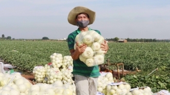 Bắc Ninh: Tổng sản phẩm nông, lâm, thuỷ sản tăng 7,59% so cùng kỳ