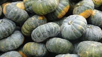 Phú Yên: Tháo gỡ khó khăn cho doanh nghiệp đẩy mạnh sản xuất, kinh doanh trong lĩnh vực nông nghiệp