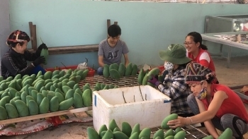 Sơn La: Thương mại - dịch vụ 6 tháng đầu năm tiếp tục ổn định