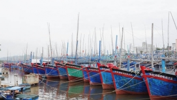 Bình Định: Hỗ trợ 97,5 tỷ đồng cho tàu đánh bắt cá xa bờ