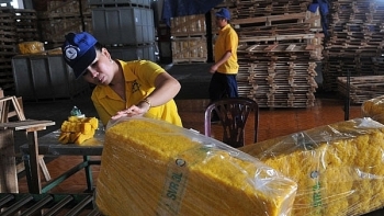 Xuất khẩu cao su thu về 1,15 tỷ USD trong 6 tháng đầu năm