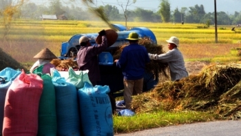 Yên Bái: 6 tháng đầu năm, tổng sản phẩm trong tỉnh (GRDP) đạt gần 8.993 tỷ đồng