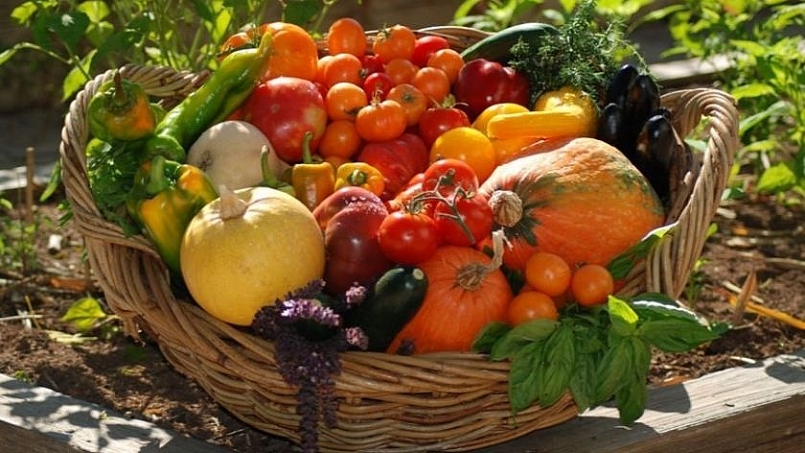 Giá rau củ quả hôm nay 7/7: Nhiều mặt hàng được hưởng khuyến mãi