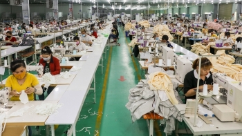 Bình Thuận: 6 tháng đầu năm, có 585 doanh nghiệp thành lập mới