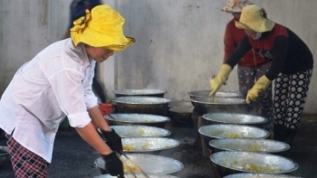 Quảng Ngãi: Triển khai các nhiệm vụ phát triển ngành nghề nông thôn