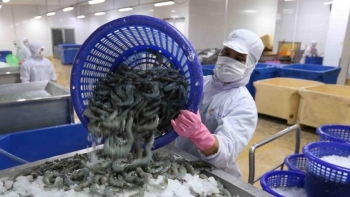 Cà Mau: Triển khai thực hiện Hiệp định UKVFTA trên địa bàn tỉnh