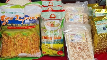 Bắc Kạn: Thực hiện Chương trình phát triển tài sản trí tuệ trên địa bàn tỉnh