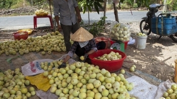 Kiên Giang: Tạo điều kiện thuận lợi trong lưu thông hàng hóa và thúc đẩy tiêu thụ nông sản