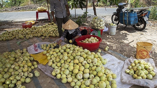Kiên Giang Tạo điều kiện thuận lợi trong lưu thông hàng hóa và thúc đẩy tiêu thụ nông sản do ảnh hưởng của dịch Covid-19