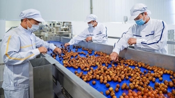 Xuất khẩu rau quả tăng trưởng đầy ấn tượng, đạt trên 2,063 tỷ USD