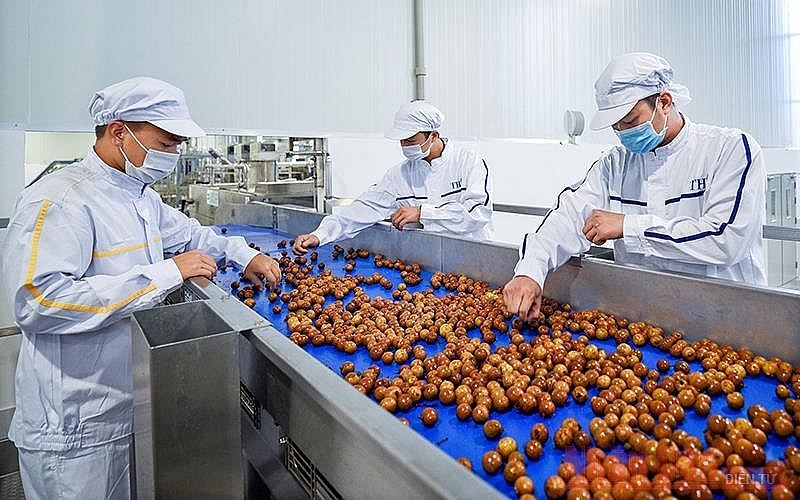 Xuất khẩu rau quả tăng trưởng tăng trưởng đầy ấn tượng, đạt trên 2,063 tỷ USD