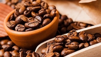 Giá cà phê hôm nay 13/7: Tiếp tục giữ ổn định