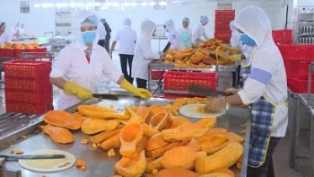 Thái Bình: Tổng kim ngạch xuất nhập khẩu hàng hóa tháng 6 ước đạt 238 triệu USD