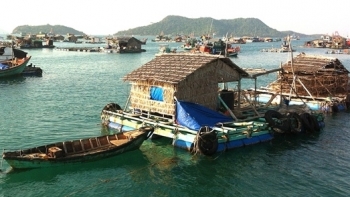 Kiên Giang: Thực hiện một số nhiệm vụ trong công tác quản lý khu vực biển để nuôi trồng thủy sản