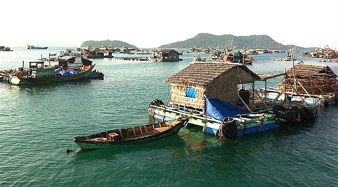 Kiên Giang: Thực hiện một số nhiệm vụ trong công tác quản lý khu vực biển để nuôi trồng thủy sản