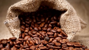 Giá cà phê hôm nay 14/7: Giảm nhẹ 200 đồng/kg