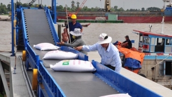 Tháng 6/2021, xuất khẩu gạo sang hầu hết các thị trường chủ đạo đều sụt giảm