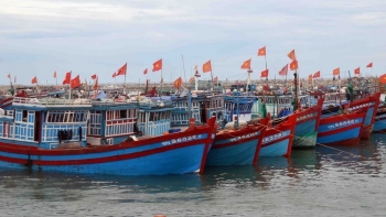 Cà Mau: Tăng cường công tác phòng cháy, chữa cháy đối với tàu cá, cảng cá