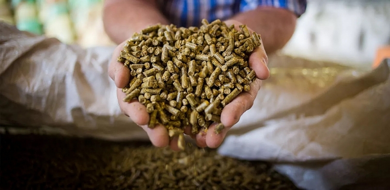 Kim ngạch xuất khẩu thức ăn chăn nuôi tăng 52,7%