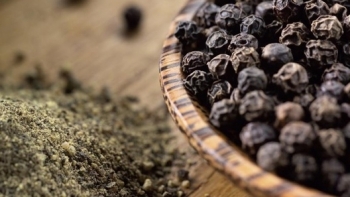 Giá hồ tiêu hôm nay 15/7: Tiếp tục giữ ổn định