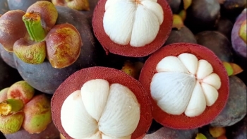 Đồng Tháp: Xây dựng 3 kịch bản tiêu thụ nông sản trong tình hình Covid-19