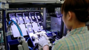 Kim ngạch xuất khẩu hàng hóa sang thị trường Hà Lan tăng 20,2%