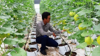 Quảng Bình: Đến năm 2030, phấn đấu xuất khẩu nông, lâm, thủy sản đạt 140 - 150 triệu USD