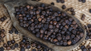 Giá hồ tiêu hôm nay 6/7: Giảm 500 đồng/kg tại các tỉnh Tây Nguyên