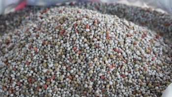 Xuất khẩu phân bón 6 tháng đầu năm tăng mạnh