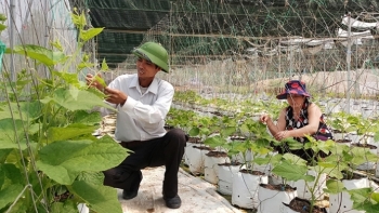 Quảng Bình:  Phê duyệt Chương trình Khuyến nông tỉnh Quảng Bình giai đoạn 2021 - 2025