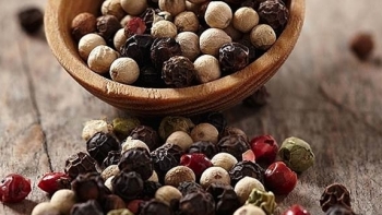 Giá hồ tiêu hôm nay 17/7: Chưa có sự thay đổi