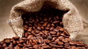 Giá cà phê hôm nay 19/7: Giữ ổn định đầu tuần