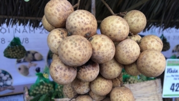 Nhãn lồng Hưng Yên lên sàn thương mại điện tử