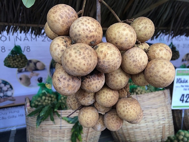 Từ ngày 15/7, nhãn lồng Hưng Yên sẽ chính thức được bán trên sàn thương mại điện tử Postmart.vn Từ ngày 15/7, nhãn lồng Hưng Yên sẽ chính thức được bán trên sàn thương mại điện tử Postmart.vn