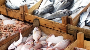 Top 5 thị trường lớn nhất cung cấp thủy sản cho Việt Nam