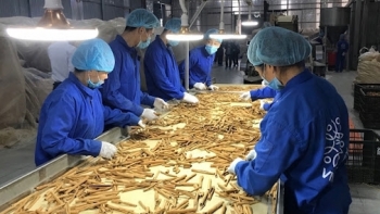 Yên Bái: Thanh tra, kiểm tra 2.332 cơ sở sản xuất, kinh doanh, buôn bán thực phẩm