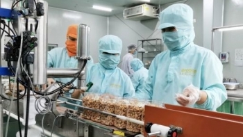 Đồ gỗ, nông sản xuất khẩu vào Peru được hưởng thuế suất 0%