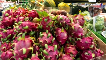 Xuất khẩu hàng hóa sang EU tăng trưởng tích cực nhờ EVFTA