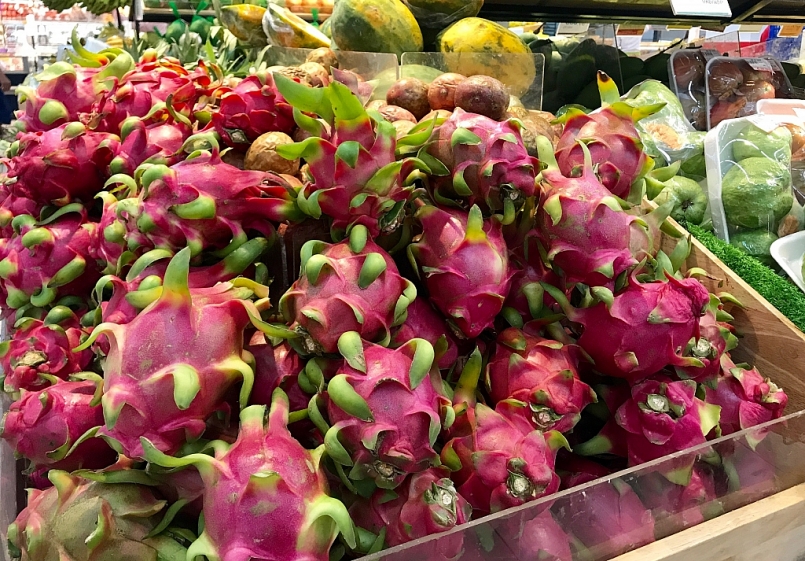 Xuất khẩu hàng hóa sang EU tăng trưởng tích cực nhờ EVFTA Xuất khẩu hàng hóa sang EU tăng trưởng tích cực nhờ EVFTA