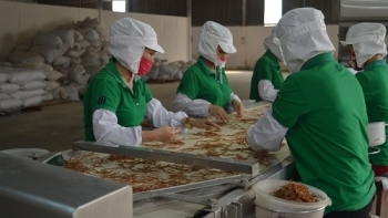 Yên Bái:  6 tháng đầu năm, toàn tỉnh thành lập mới 51 hợp tác xã