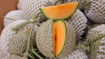 Cà Mau: Theo dõi tình hình sản xuất, tiêu thụ nông sản