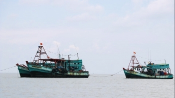 Cà Mau: Hỗ trợ 100% cước thuê bao dịch vụ giám sát hành trình tàu cá trong 05 năm