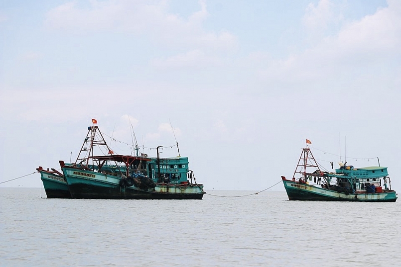 Cà Mau: Hỗ trợ 100% cước thuê bao dịch vụ giám sát hành trình tàu cá trong 05 năm Cà Mau: Hỗ trợ 100% cước thuê bao dịch vụ giám sát hành trình tàu cá trong 05 năm