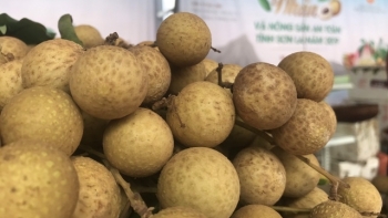 Sơn La: Toàn tỉnh đã tiêu thụ gần 7.000 tấn Nhãn