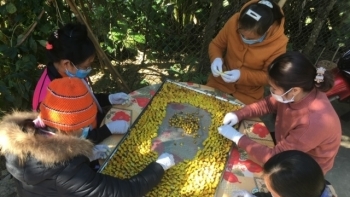 Bắc Kạn: Toàn tỉnh đã thành lập thêm 39 hợp tác xã