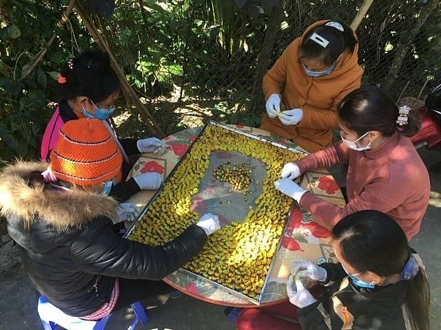 Bắc Kạn: Toàn tỉnh đã thành lập thêm 39 hợp tác xã