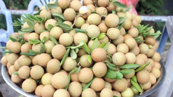 An Giang: Thành lập đường dây nóng và Tổ phản ứng nhanh hỗ trợ tiêu thụ nông sản